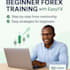 teach beginner friendly forex strategies that actually work