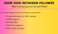 do super fast instagram organic growth