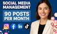 be your social media manager and content creator