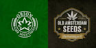 creative cannabis hemp weed marijuana cbd oil logo