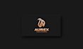 design professional impactful logo for your brand