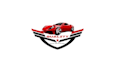 design powerful auto detailing and mobile car logo