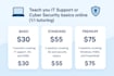 teach you IT support or cyber security basics
