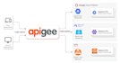 provide expert apigee x support and consultancy