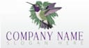 design a creative hummingbird logo
