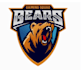 make professional grizzly bear logo with creative concept