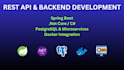 develop or customize backend API with spring boot or net core