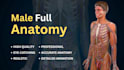 create professional 3d medical animation