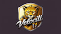 design chetah claw logo with express delivery