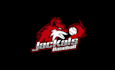 design sophisticated baseball team logo