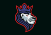 design unique kingston kings team logo