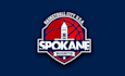 design surprising basketball city logo