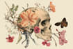 do botanical and anatomical scientific illustrations