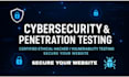 perform website audit, maintenance, and vulnerability assessment