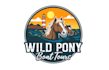 design awesome boat tour logo
