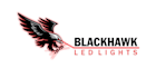 create a professional mascot eagle logo design
