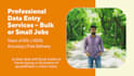 accurate bulk data entry, PDF to excel, web research with big team