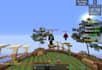 coach anyone minecraft pvp