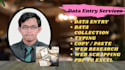 provide accurate and efficient data entry services