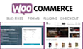 fix any wordpress issues or errors within 1 hour