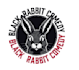 design awesome rabbit logo in 24 hours