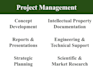 manage a technology development project