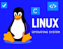 do c programming tasks and linux os projects