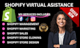 be your shopify manager for marketing, store promotion, virtual assistant