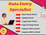 do deta entry copy paste excel and  ms word typing work