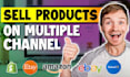 build multi channel ecommerce shopify dropshipping store, shopify dropshipping