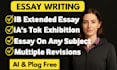 write and check ib extended essay ia hl sl io ess math economics history cs