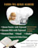 teach you the holy quran online
