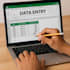 do data entry in world excel and pdf very good