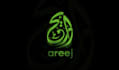 design a custom arabic logo with authentic calligraphy