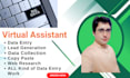 be VA data entry,lead generation,web scraping, mining,data extraction,copy paste