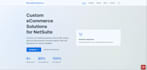 create a professional netsuite ecommerce website