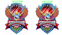 manual vector tracing, and raster to vector