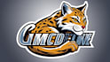 make wild cat mascot logo design in one day