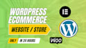 design online store, webshops, wordpress website or ecommerce website