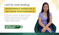 fix slow loading wordpress websites and optimize performance