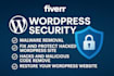 secure, fix, and protect your wordpress website from hackers