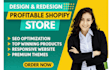 set up shopify store