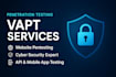 provide cyber security services, website security, and infrastructure security