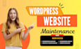 do expert wordpress website maintenance, bug fixes and support