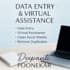 provide accurate data entry and virtual assistant services