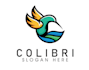 design creative hummingbird logo