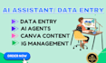 do accurate data entry, data analysis, data collection, and ai training