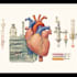 do medical and scientific illustrations