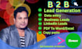 b2b lead generation expert