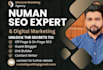deliver a professional guest post that exceeds expectations